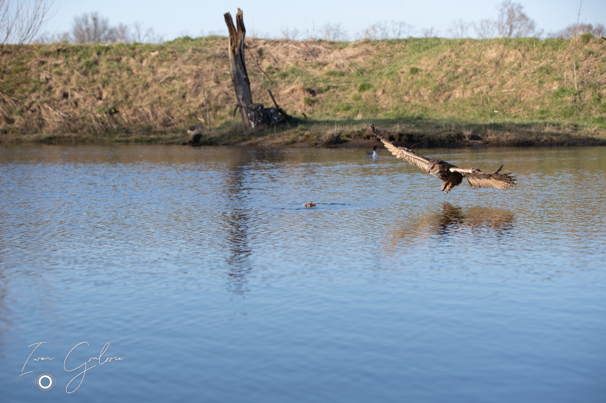 04 maart 2022 163016 1DX44443